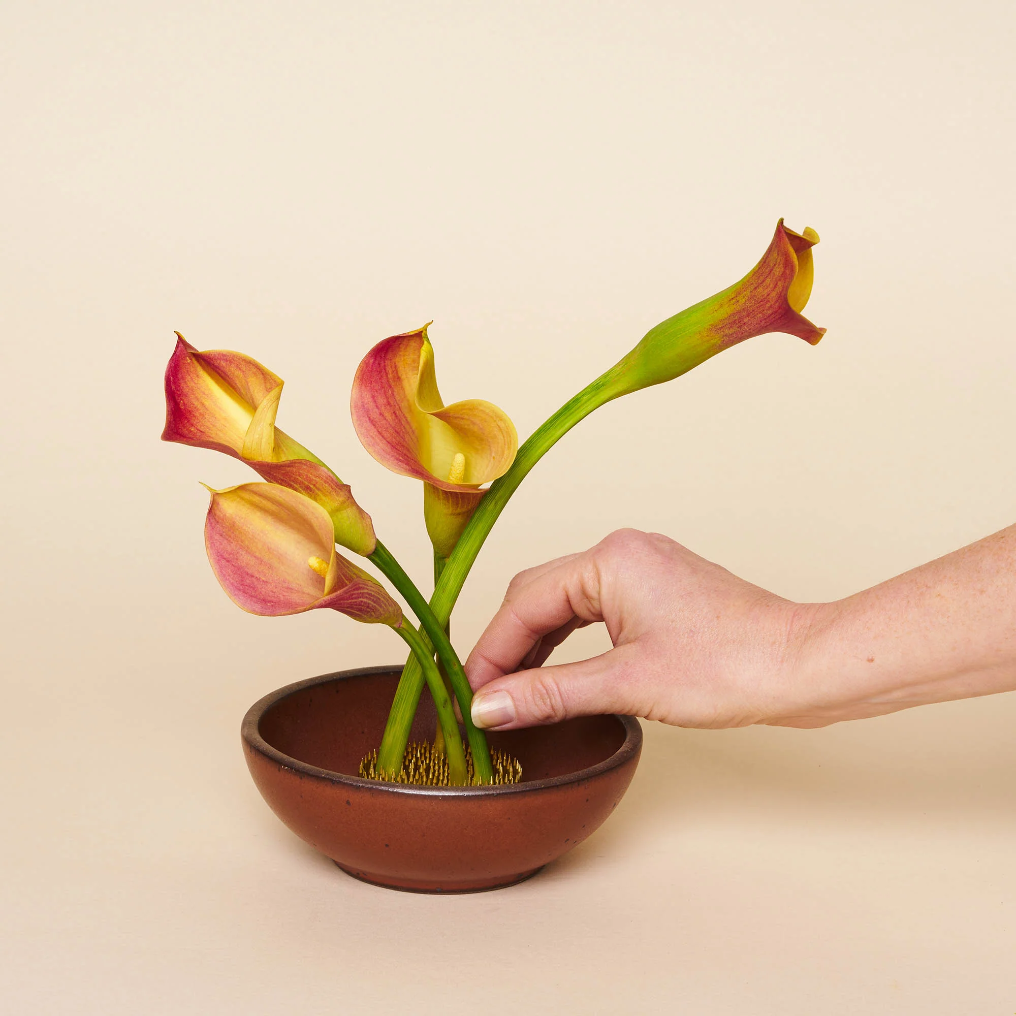 Flower Frogs - Image 3
